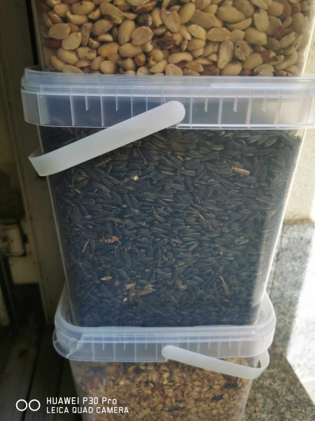 2,5kg Sonnenblumenkerne schwarz im eckigen Kunststoffeimer Eimer Plastik Kunststoff Aktuelle Ernte Garantiert